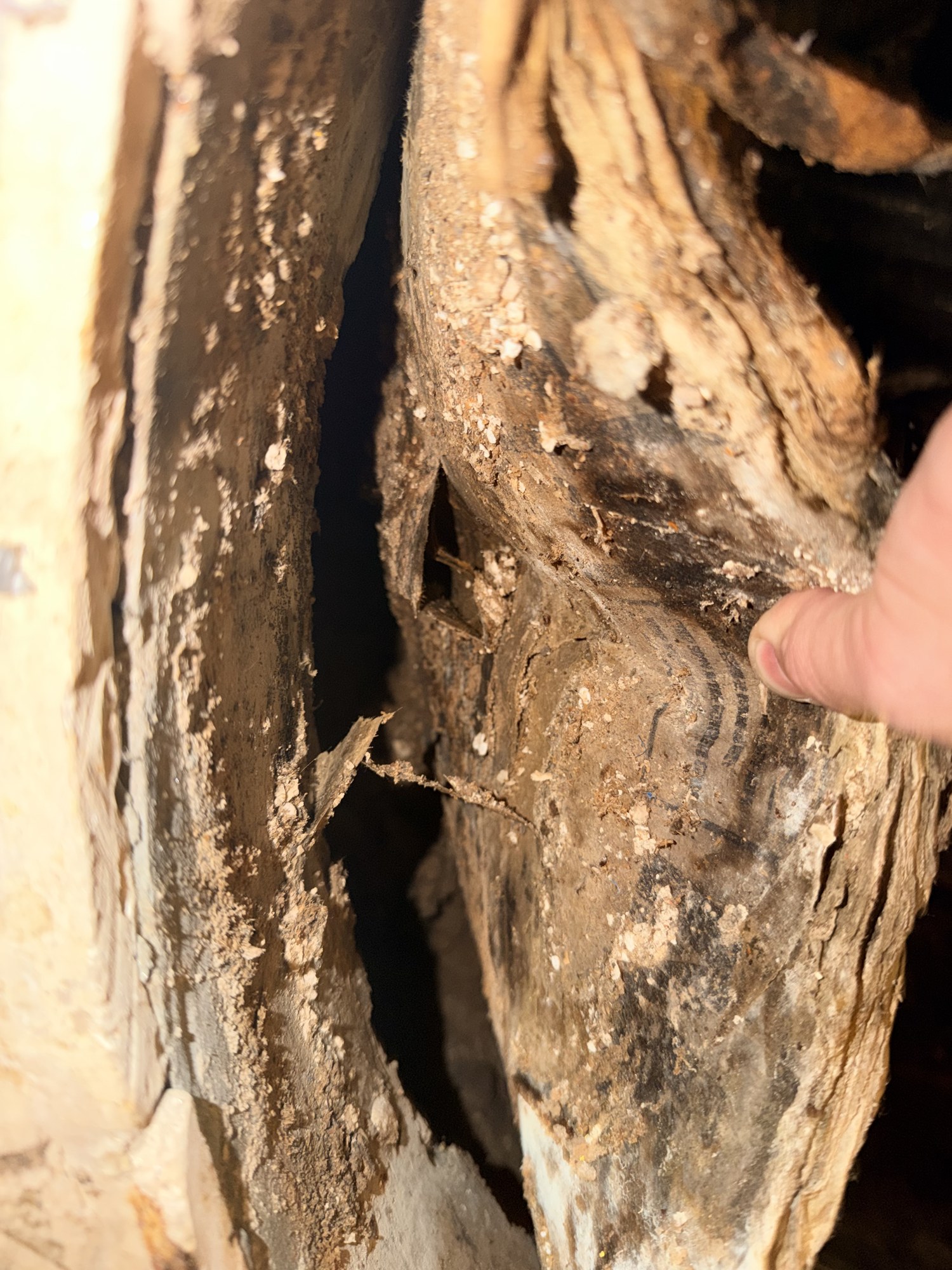 Hidden water damage found behind drywall